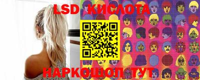 spice Обнинск
