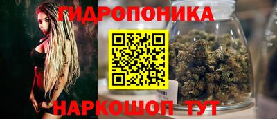 spice Обнинск