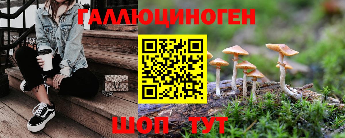 Галлюциногенные грибы мухоморы  Вход с VPN  Сочи 